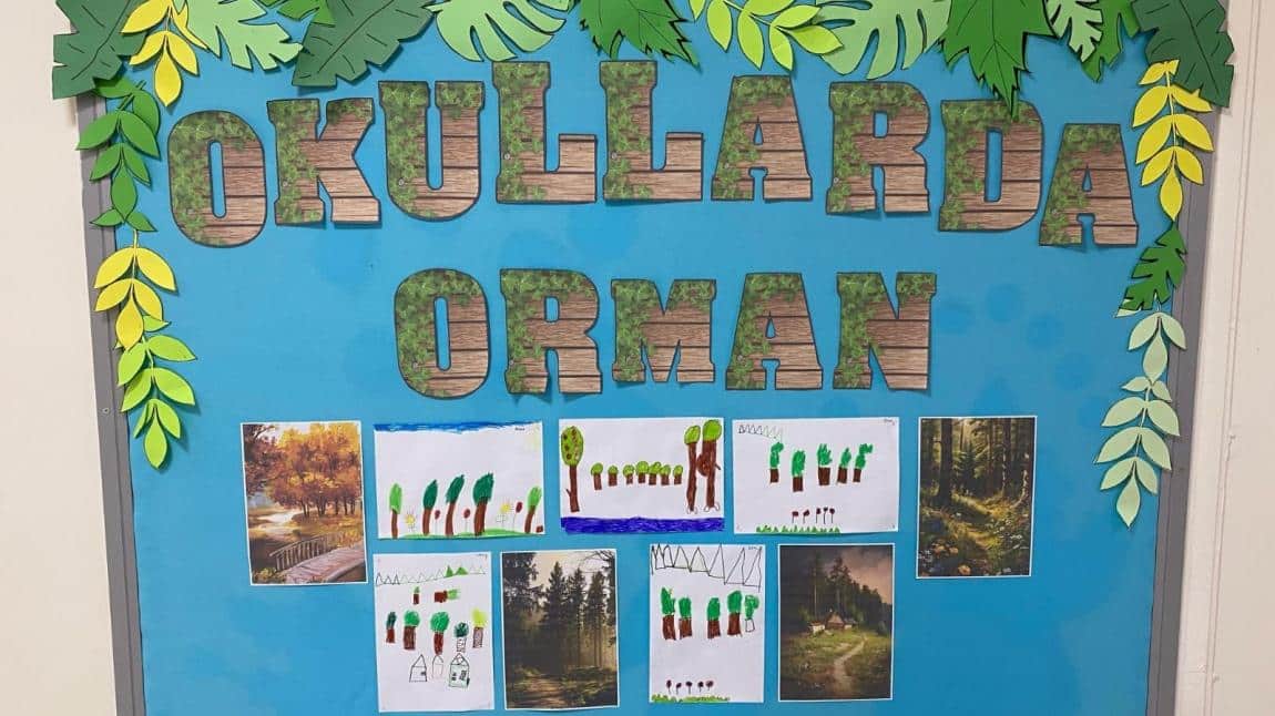 OKULLARDA ORMAN PROGRAMI